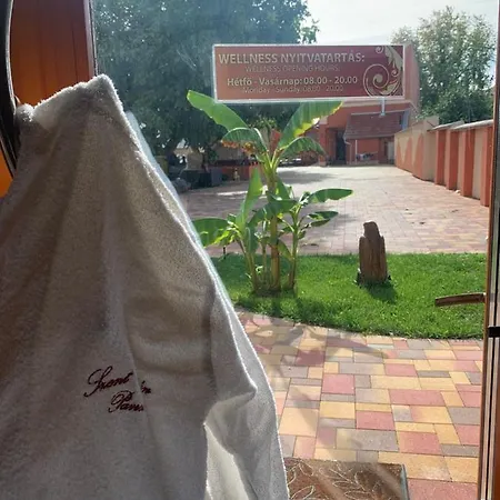 Szent Istvan Wellness Panzio לינה וארוחת בוקר