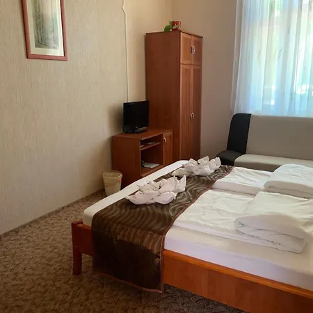 Szent Istvan Wellness Panzio 3*