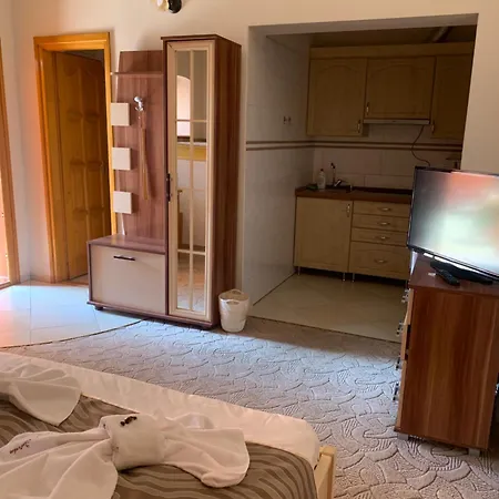 Szent Istvan Wellness Panzio 3*