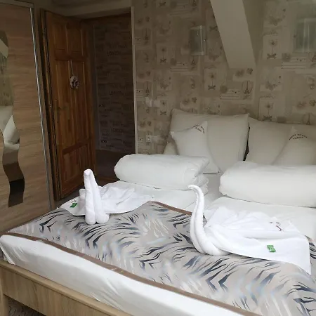 Szent Istvan Wellness Panzio 3* Makó