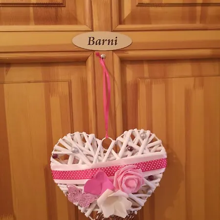 Szent Istvan Wellness Panzio 3* מאקו