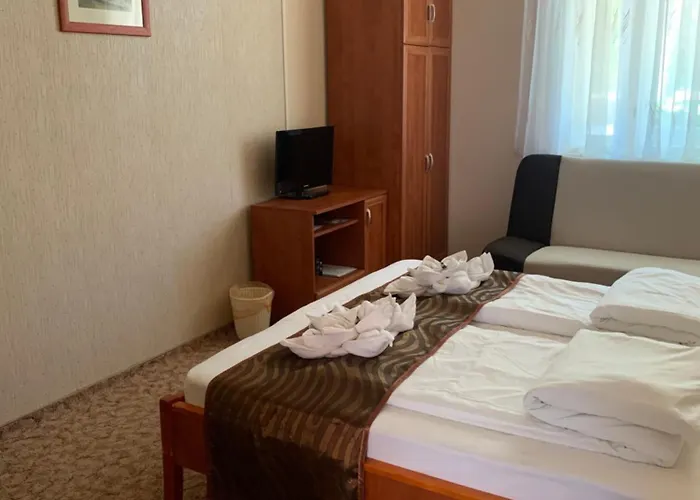 Szent Istvan Wellness Panzio 3*